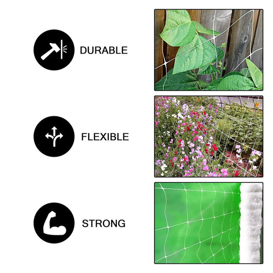 Common Culture Plastic Trellis Netting Bulk Roll 5 ft x 4,920 ft w/ 6 in Squares + Trojan 2 Inch Straight Scissors