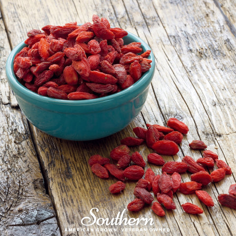 Goji Berry 50 Seeds