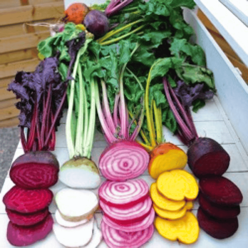 Load image into Gallery viewer, Gourmet Blend Beet – 50 Seeds
