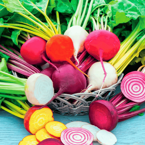 Gourmet Blend Beet 50 Seeds