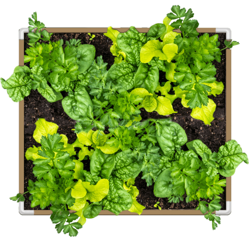 Load image into Gallery viewer, DIY Living Soil Fabric Bed
