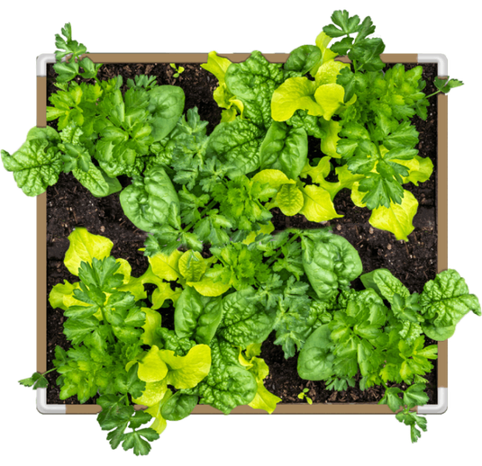 DIY Living Soil Fabric Bed