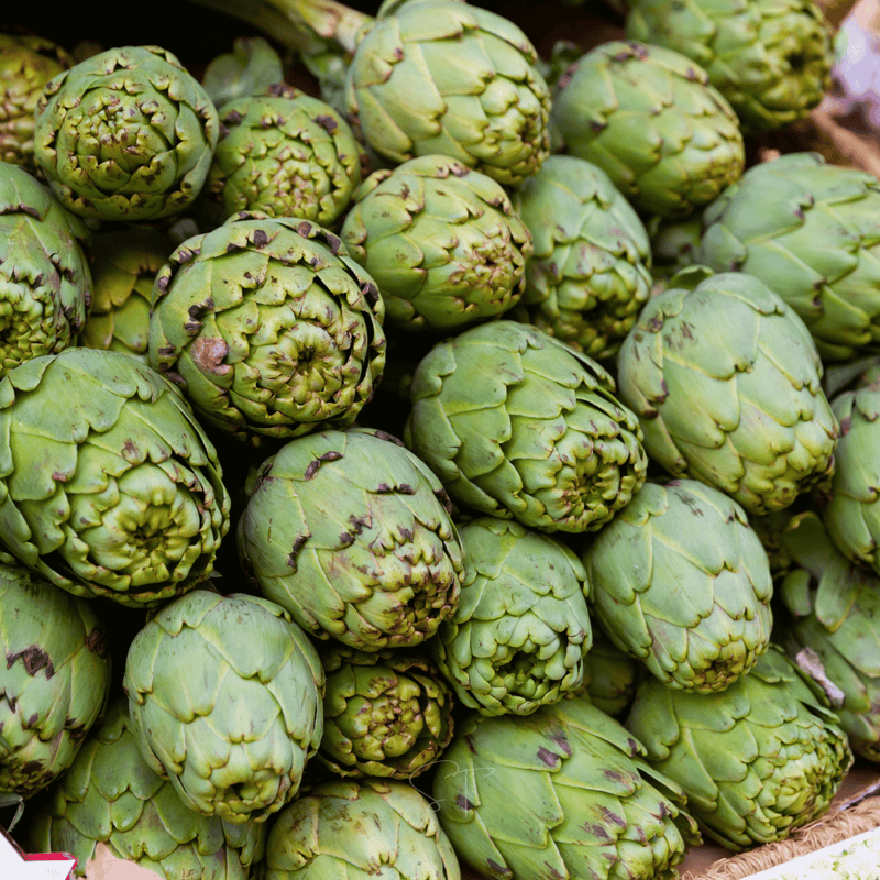 Load image into Gallery viewer, Green Globe Artichoke – 25 Seeds
