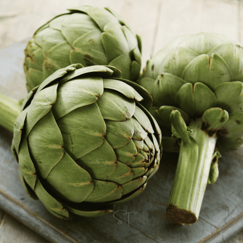 Green Globe Artichoke seeds package, 25 count, GrowTime Garden Supply
