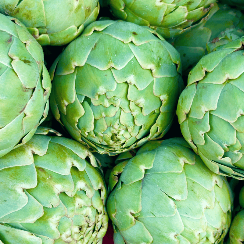 Load image into Gallery viewer, Green Globe Artichoke – 25 Seeds
