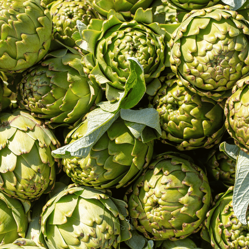Load image into Gallery viewer, Green Globe Artichoke – 25 Seeds
