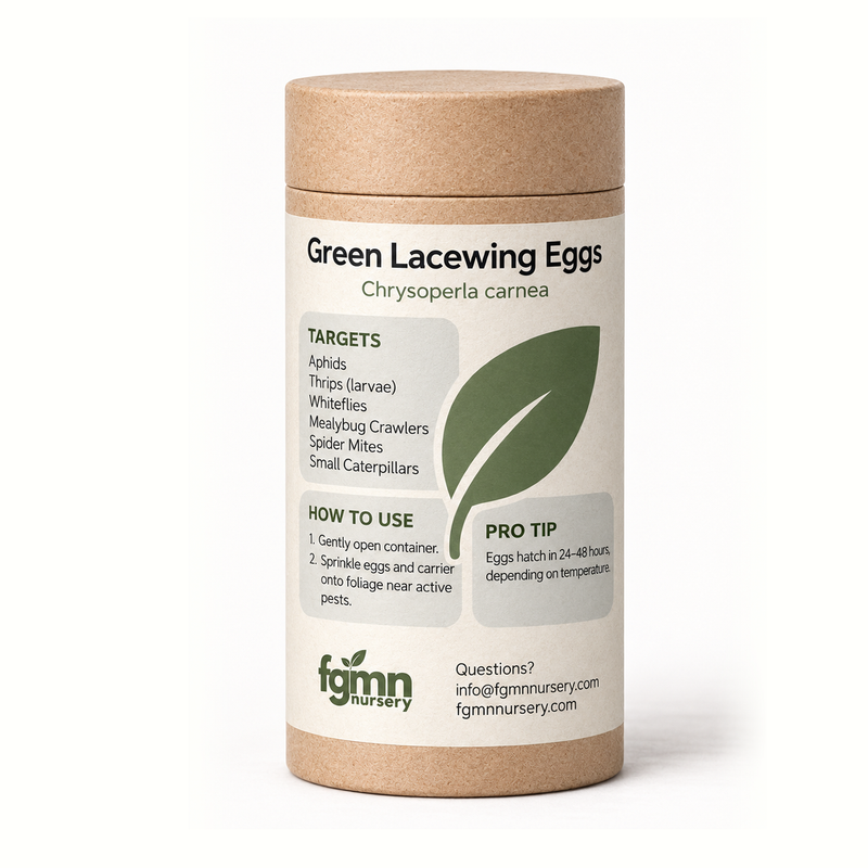 Load image into Gallery viewer, Green Lacewing Eggs
