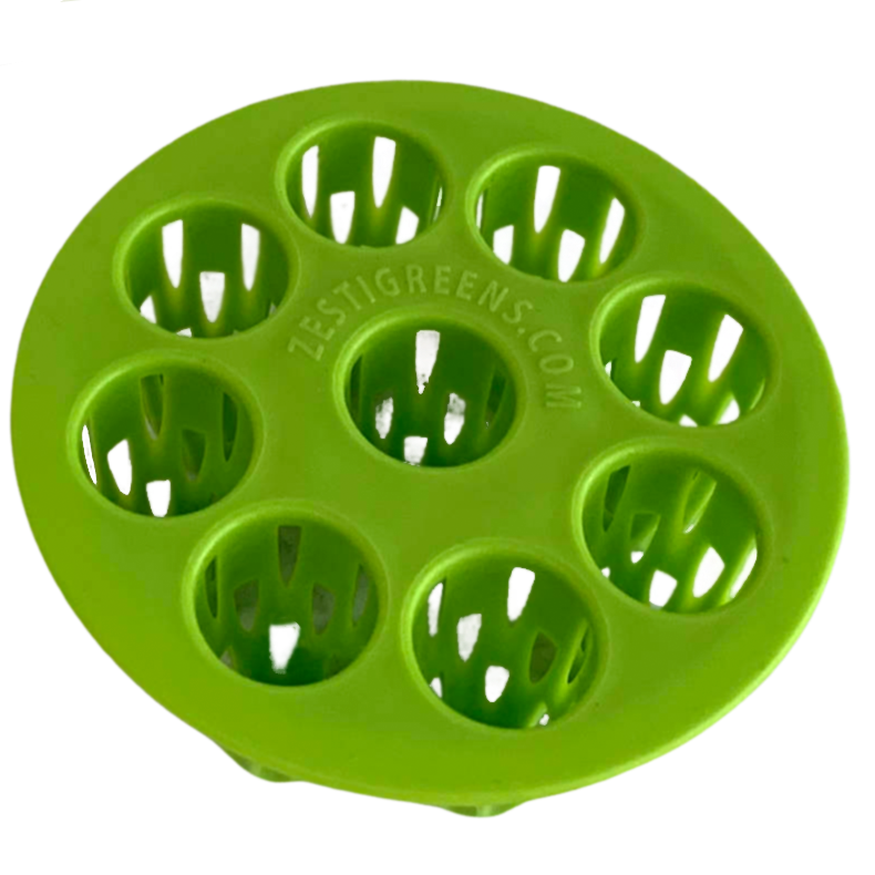 Load image into Gallery viewer, Easiest Green Onion Regrower. Includes Ergonically Designed Lid &amp; Instructions for Beginners.
