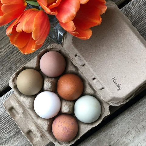 Henlay blank flat top half dozen egg cartons