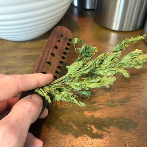 Walnut wood herb comb, teeth detail
