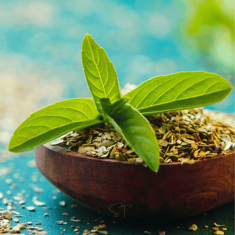 Holy Tulsi Basil seeds package, 250 count, GrowTime Garden Supply