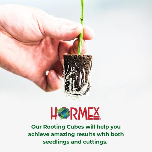 Hormex Rooting Cubes - Grow Plants from Cuttings or Start from Seed - Peat Moss & Coco Plugs - For Strong Roots & Healthy Plants - Ideal for Home & Professional Growers