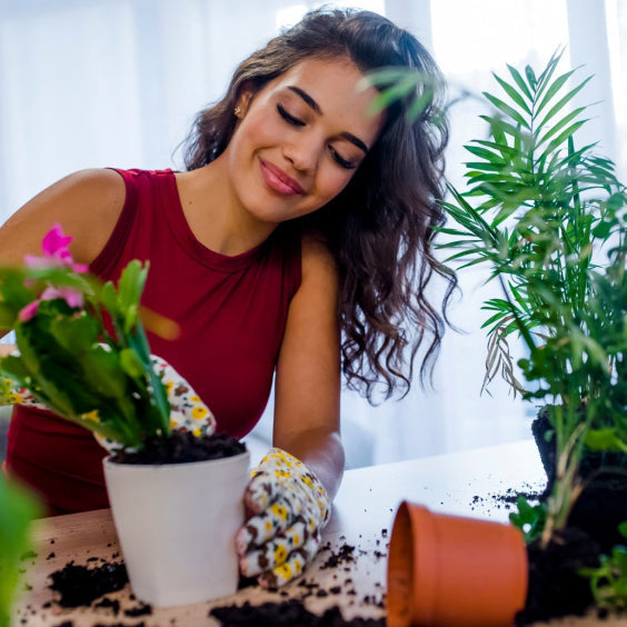 Load image into Gallery viewer, Hormex Rooting Duo: Vitamin B1 Rooting Hormone Concentrate &amp; Rooting Powder #8 for Moderately Difficult to Root Plants
