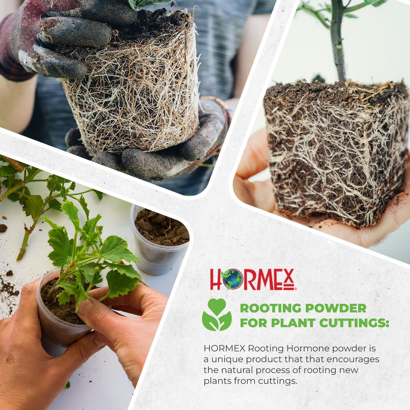 Load image into Gallery viewer, Hormex Rooting Duo: Vitamin B1 Rooting Hormone Concentrate &amp; Rooting Powder #8 for Moderately Difficult to Root Plants
