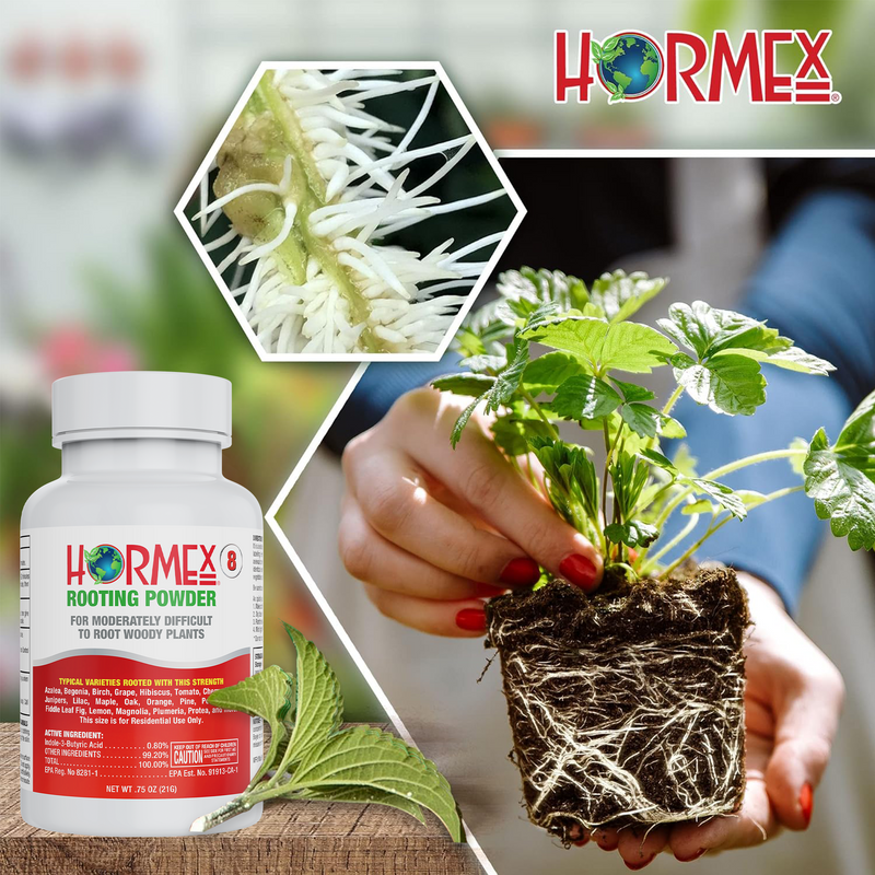 Load image into Gallery viewer, Hormex Rooting Duo: Vitamin B1 Rooting Hormone Concentrate &amp; Rooting Powder #8 for Moderately Difficult to Root Plants
