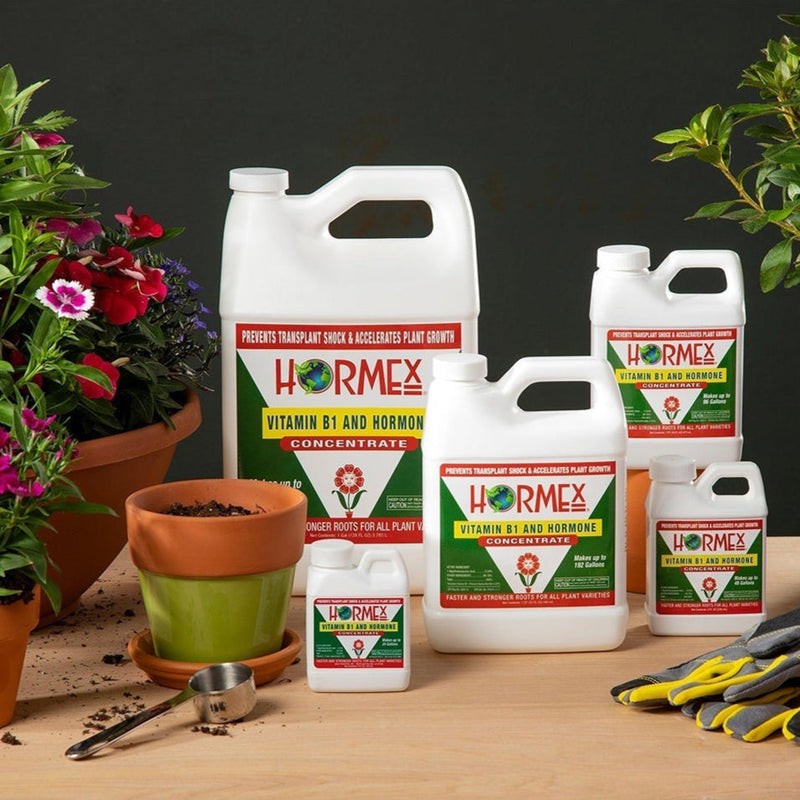 Load image into Gallery viewer, Hormex Rooting Hormone Concentrate with B1 – Root Growth Stimulator for Stronger, Thriving Plants - Prevents Transplant Shock - Hydroponics, Houseplants, Gardens, Trees, Fruits and Vegetables
