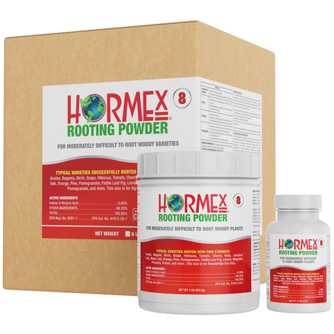 Hormex Rooting Powder 