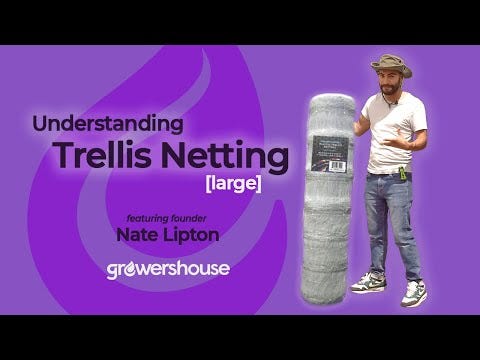 Common Culture Plastic Trellis Netting Bulk Roll 4 ft x 4,920 ft w/ 6 in Squares + Trojan 2 Inch Straight Scissors