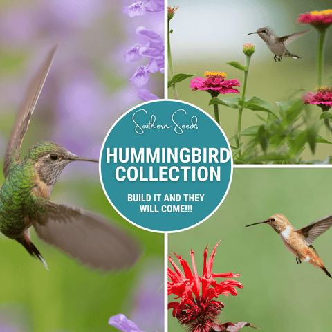 Hummingbird Garden Seed Collection 10 Varieties