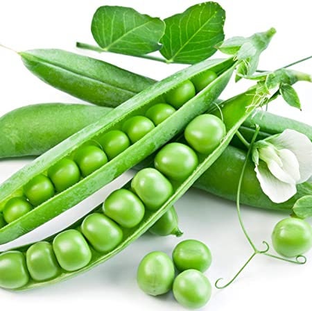 Organic Little Marvel Dwarf Pea seeds package, GrowTime Garden Supply
