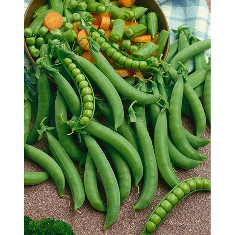 Organic Green Arrow Bush Pea seeds package, GrowTime Garden Supply
