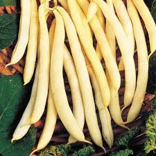 Organic Heirloom Cherokee Wax Bean seeds package, GrowTime Garden Supply