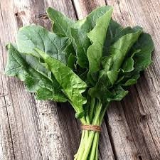 Organic Heirloom Bloomsdale Long standing Spinach Seeds, additional product view 2