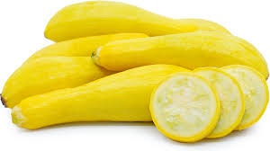 Organic Heirloom Early Summer Crookneck Squash Seeds, additional product view 2