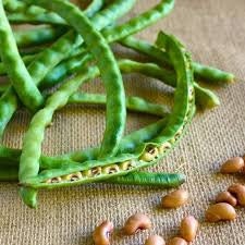 Heirloom Organic Blackeyed Cowpea seeds package, GrowTime Garden Supply