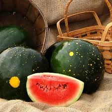 Heirloom Organic Moon and Stars Watermelon seeds package, GrowTime Garden Supply