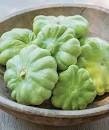 Heirloom Organic Peter Pan Summer Squash seeds package, GrowTime Garden Supply