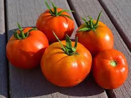 Heirloom Organic Box Car Willie Tomato seeds package, GrowTime Garden Supply