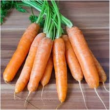 Rare Heirloom Organic Nantes Coreless Carrot seeds package, GrowTime Garden Supply