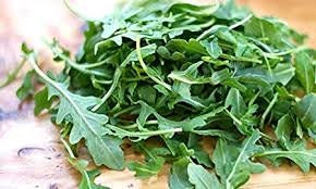 Heirloom Organic Rocket Roquette Arugula seeds package, GrowTime Garden Supply