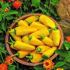 Rare Heirloom Organic Lemon Dream Sweet Pepper seeds package, GrowTime Garden Supply