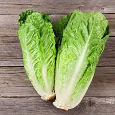 Heirloom Organic Paris Island Cos Lettuce seeds package, GrowTime Garden Supply