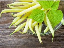 Organic Heirloom Gold Rush Garden Bean seeds package, GrowTime Garden Supply