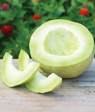Organic Bodacious Honeydew Melon seeds package, GrowTime Garden Supply