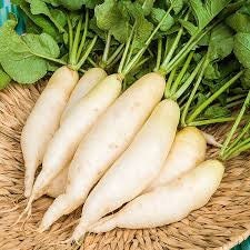 Heirloom Organic White Icicle Radish seeds package, GrowTime Garden Supply