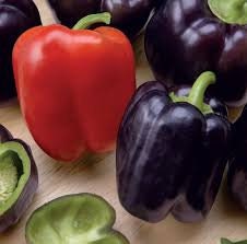 Organic Cardinal Sweet Pepper seeds package, GrowTime Garden Supply