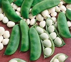 Heirloom Organic Henderson Lima Bean seeds package, GrowTime Garden Supply