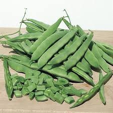Heirloom Organic Roma 2 Bush Bean Seeds, additional product view 2