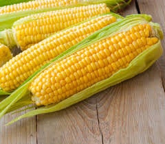 Heirloom Organic Kandy Korn Sweet Corn seeds package, GrowTime Garden Supply
