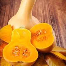 Heirloom Organic Waltham Butternut Squash seeds package, GrowTime Garden Supply