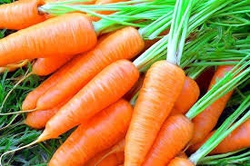 Heirloom Organic Short N Sweet Carrot seeds package, GrowTime Garden Supply