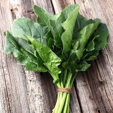 Heirloom Organic Giant Noble Spinach seeds package, GrowTime Garden Supply