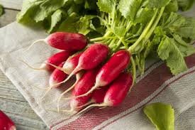 Heirloom Organic French Breakfast Radish seeds package, GrowTime Garden Supply