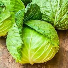 Heirloom Organic Early Golden Acre Cabbage seeds package, GrowTime Garden Supply
