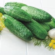 Organic Garden Sweet Cucumber seeds package, GrowTime Garden Supply