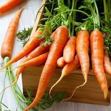 Heirloom Organic Tendersweet Carrot seeds package, GrowTime Garden Supply